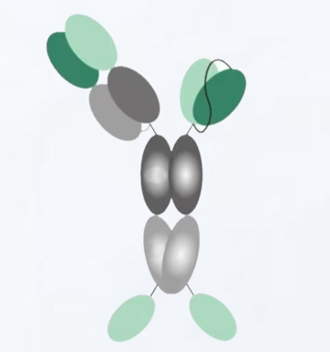 1779521410780760 omnimab-img5.png