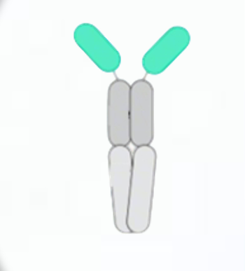 1779521477954045 omnimab-img2.png