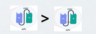 1779521962295158 omnimab-scfv-3.png