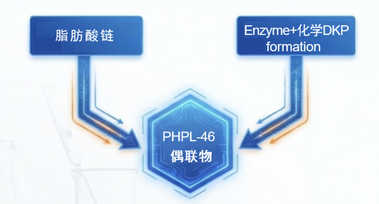 1779591873756627 WX20260524-110420@2x.png