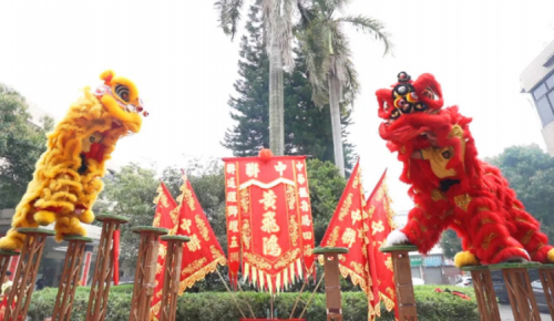 龙腾狮跃，，，，，共铸绚烂未来！